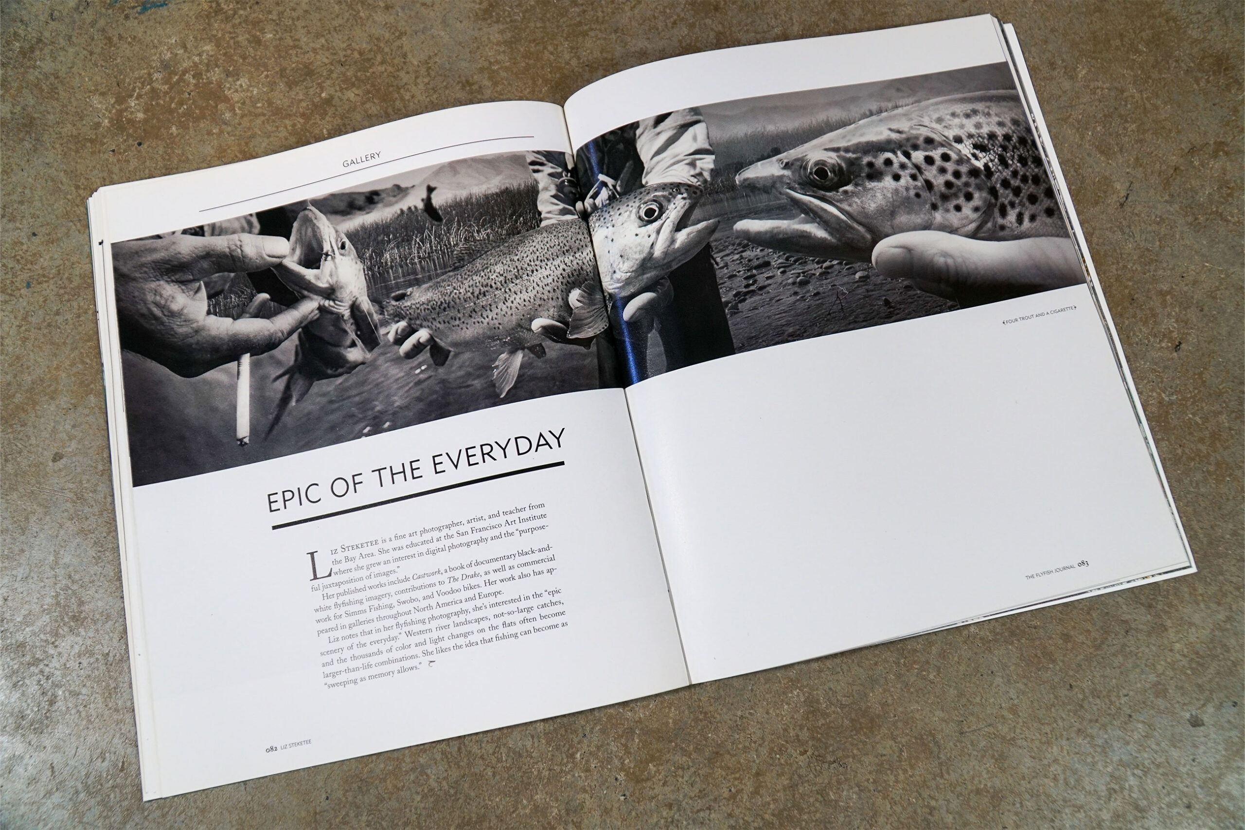 The Flyfish Journal Volume 1 Issue 1 Feature Epic of the Everyday