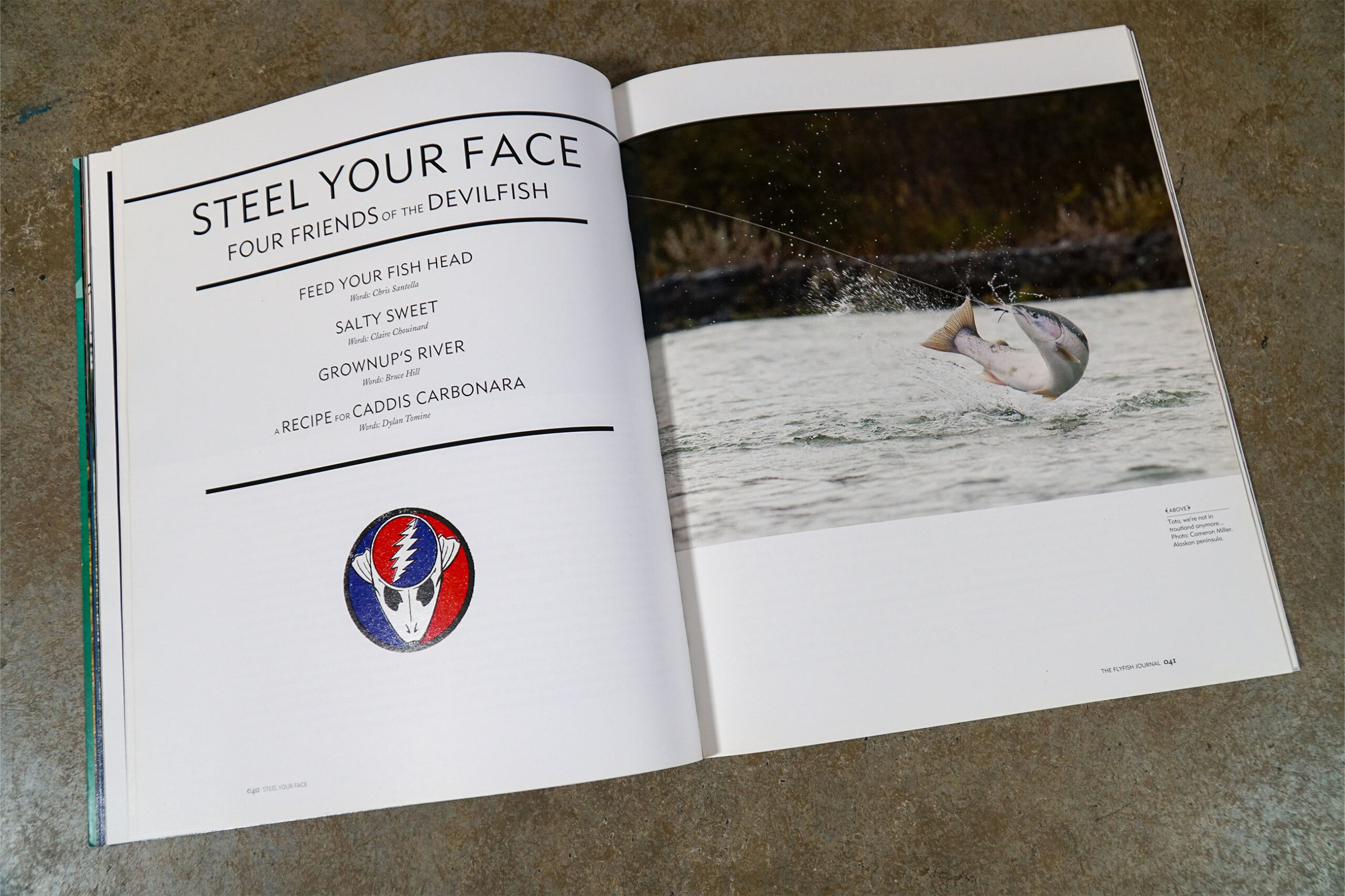 The Flyfish Journal Volume 1 Issue 1 Feature Steel Your Face