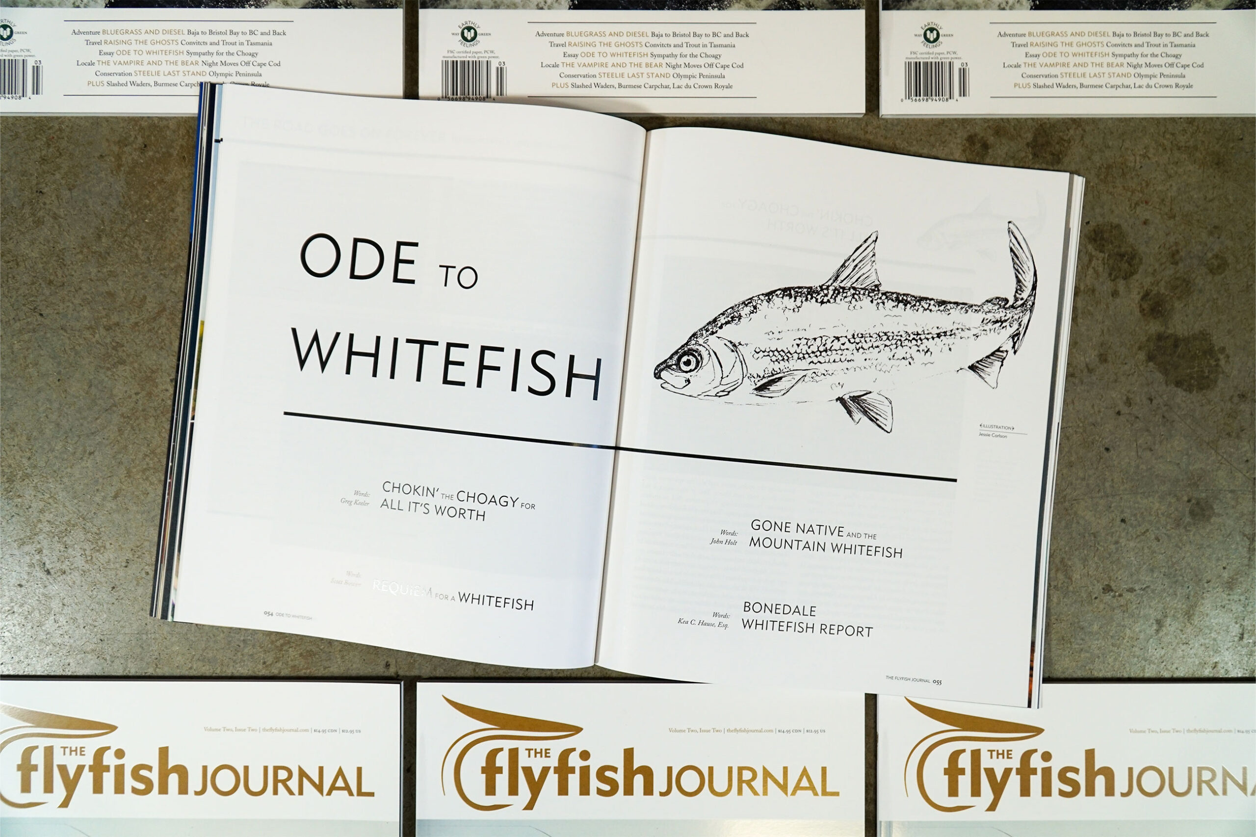The Flyfish Journal Volume 2 Issue 2 Feature Ode to Whitefish