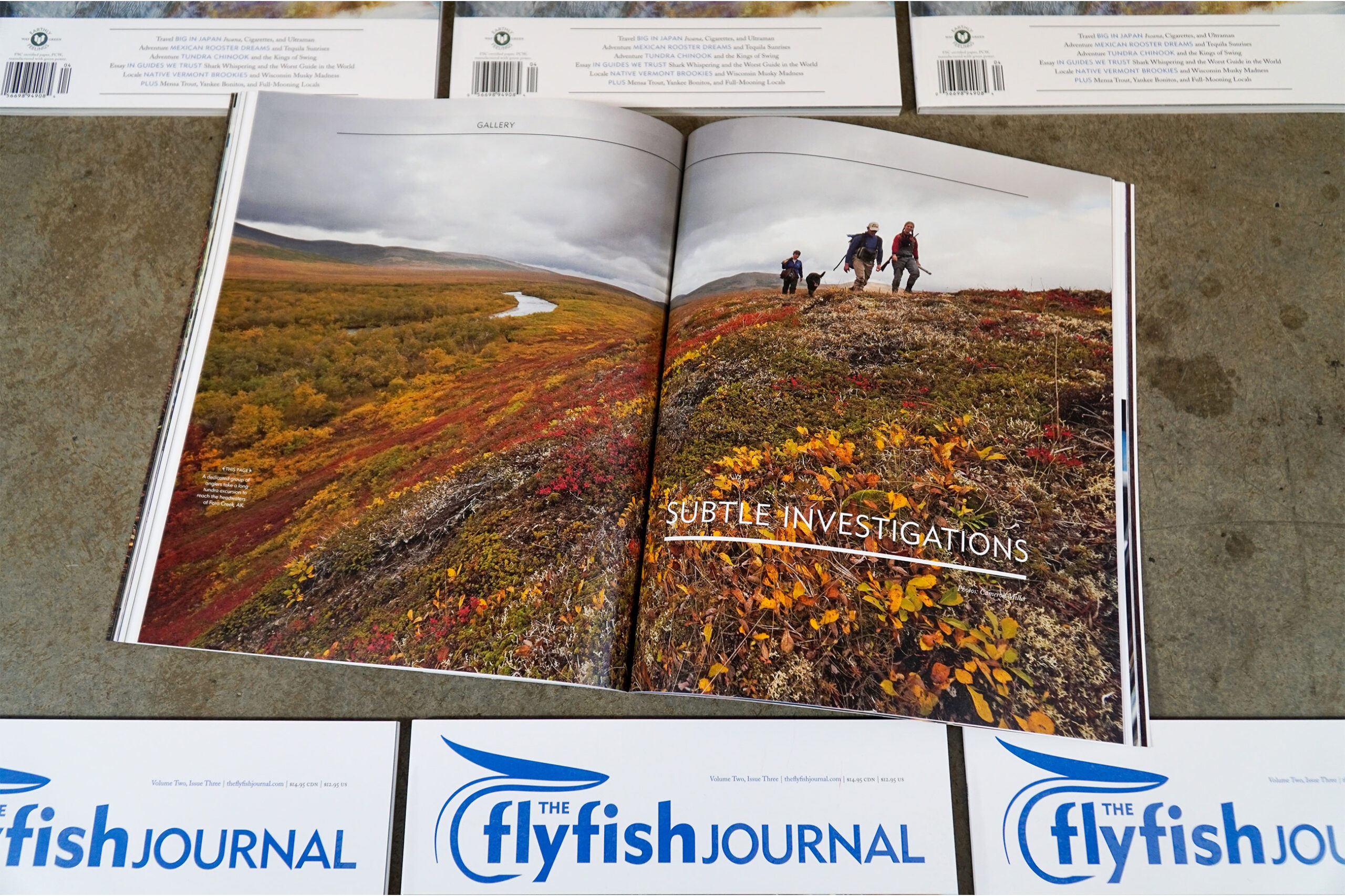 The Flyfish Journal Volume 2 Issue 3 Feature Subtle Investigations