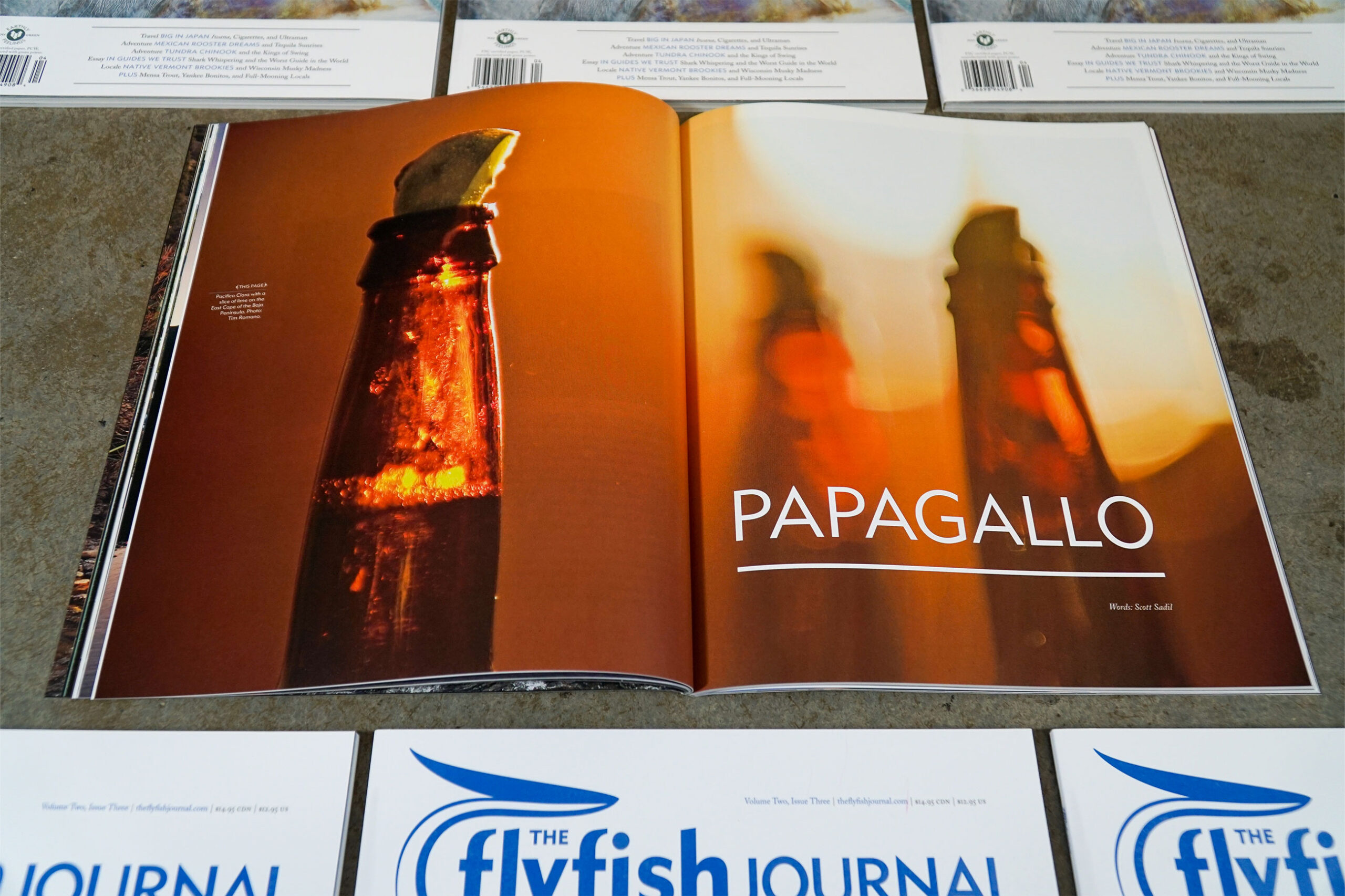 The Flyfish Journal Volume 2 Issue 3 Feature Papagallo