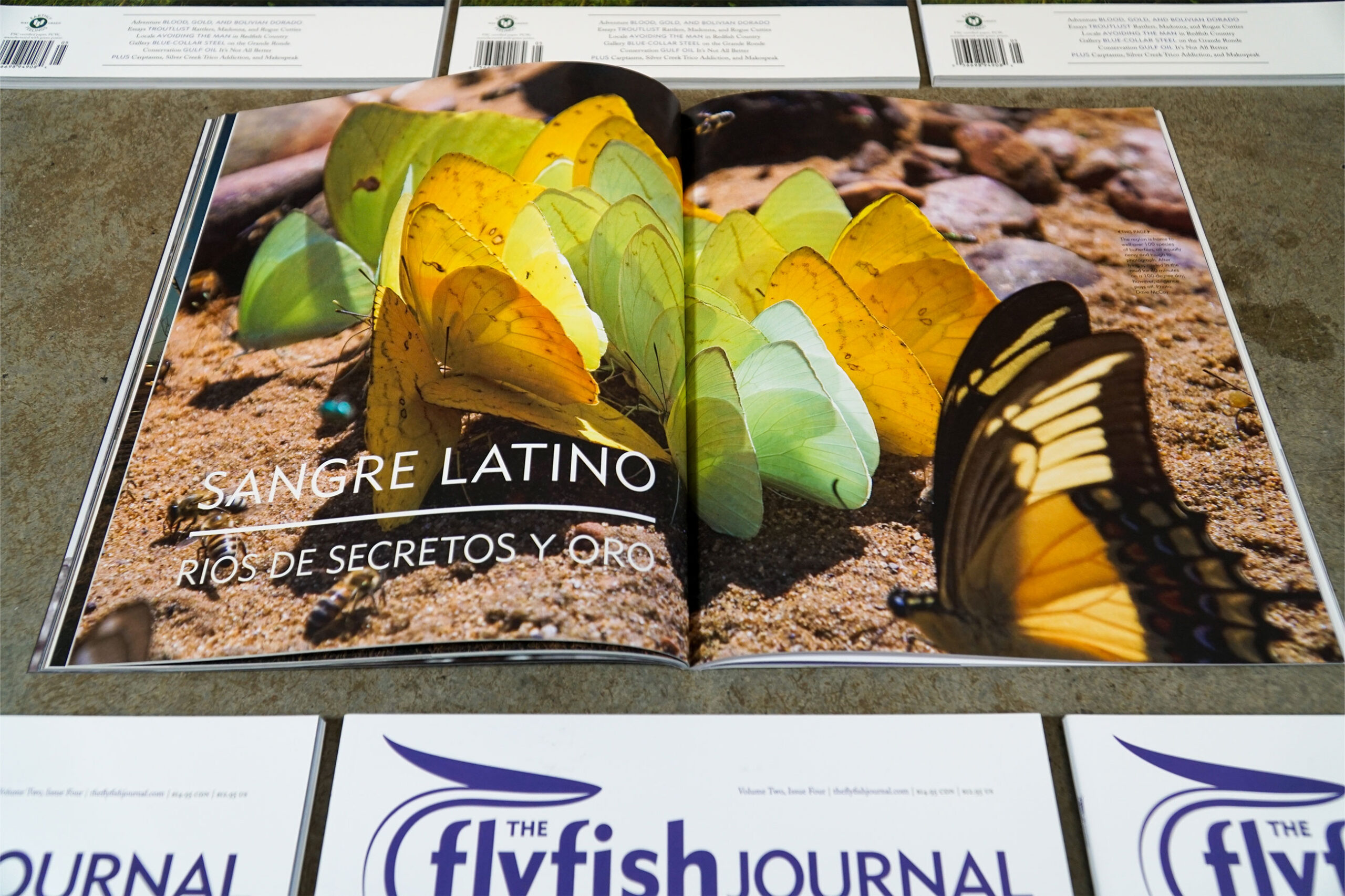 The Flyfish Journal Volume 2 Issue 4 Feature Sangre Latino
