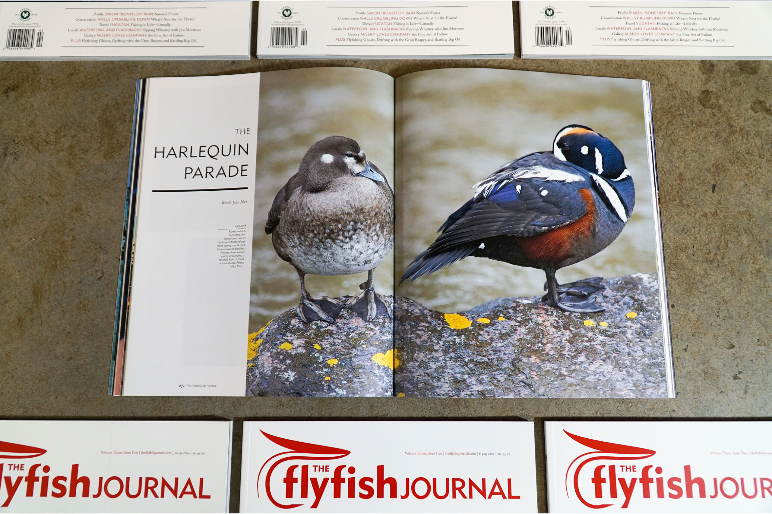 The Flyfish Journal Volume 3 Issue 2 Feature The Harlequin Parade
