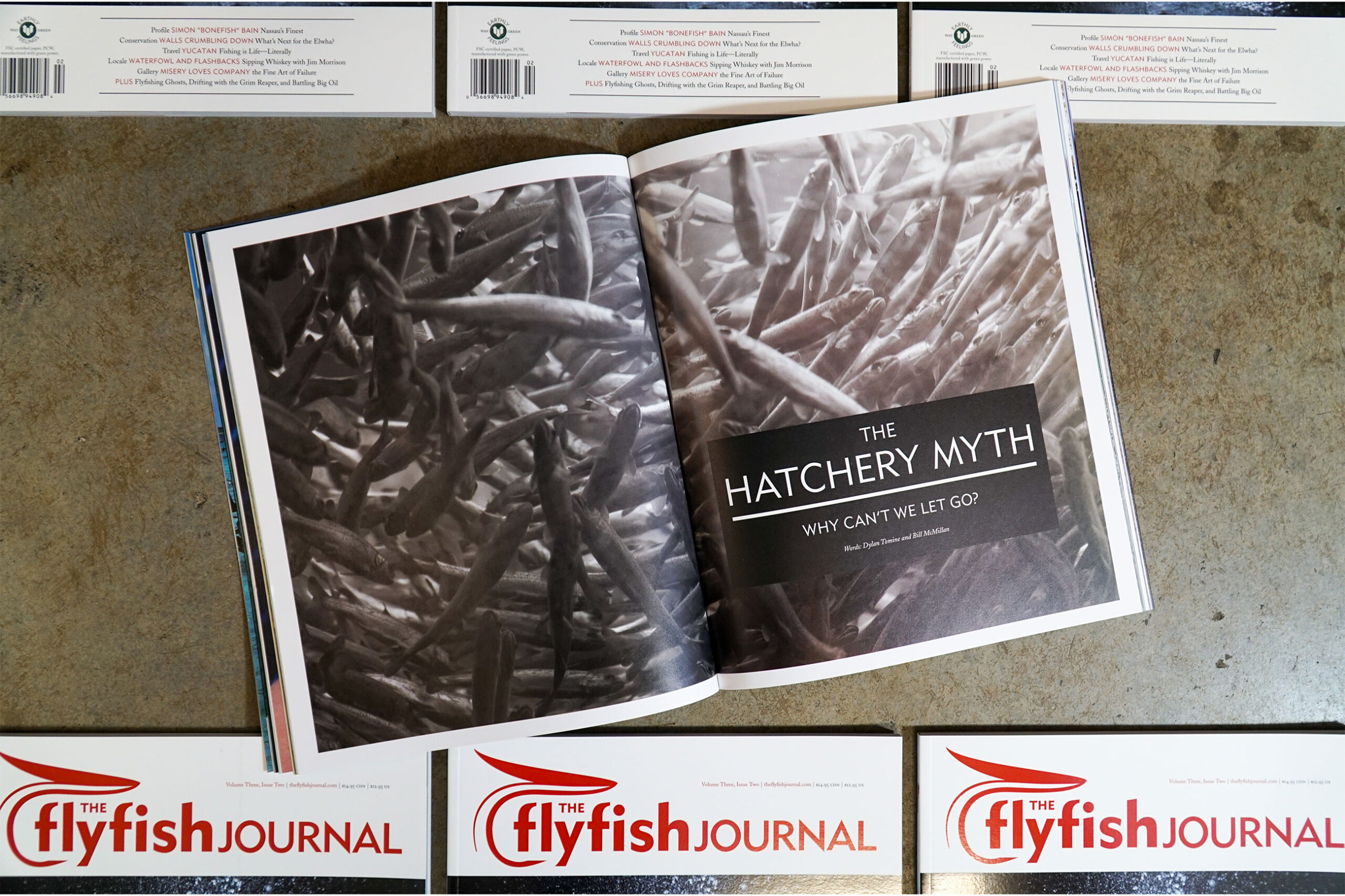 The Flyfish Journal Volume 3 Issue 2 Feature The Hatchery Myth
