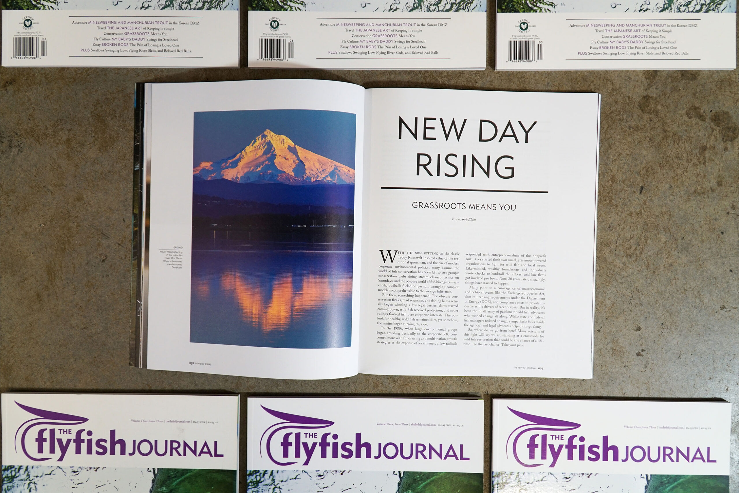 The Flyfish Journal Volume 3 Issue 3 Feature New Day Rising