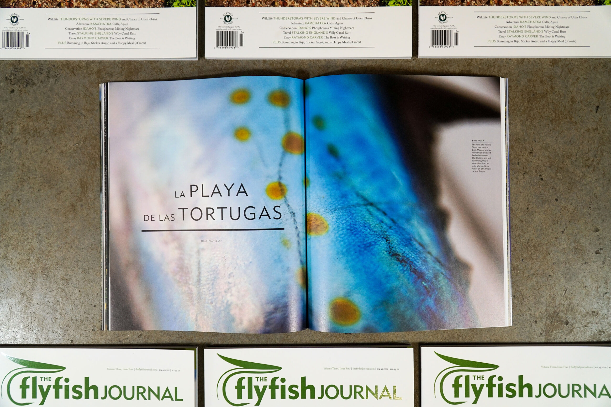 The Flyfish Journal Volume 3 Issue 4 Feature La Playa de las Tortugas