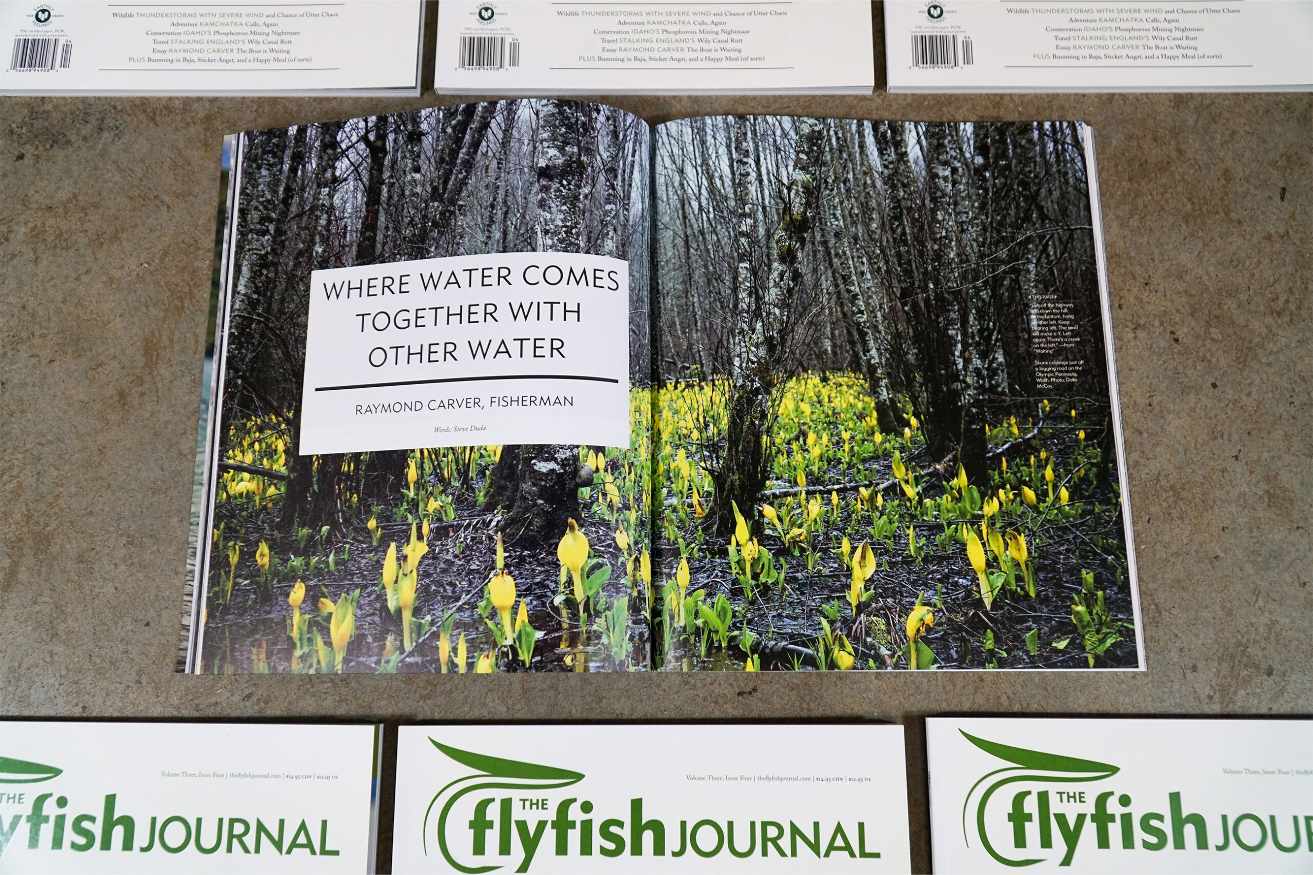 The Flyfish Journal Volume 3 Issue 4 Feature Where Water Comes Together with Other Water