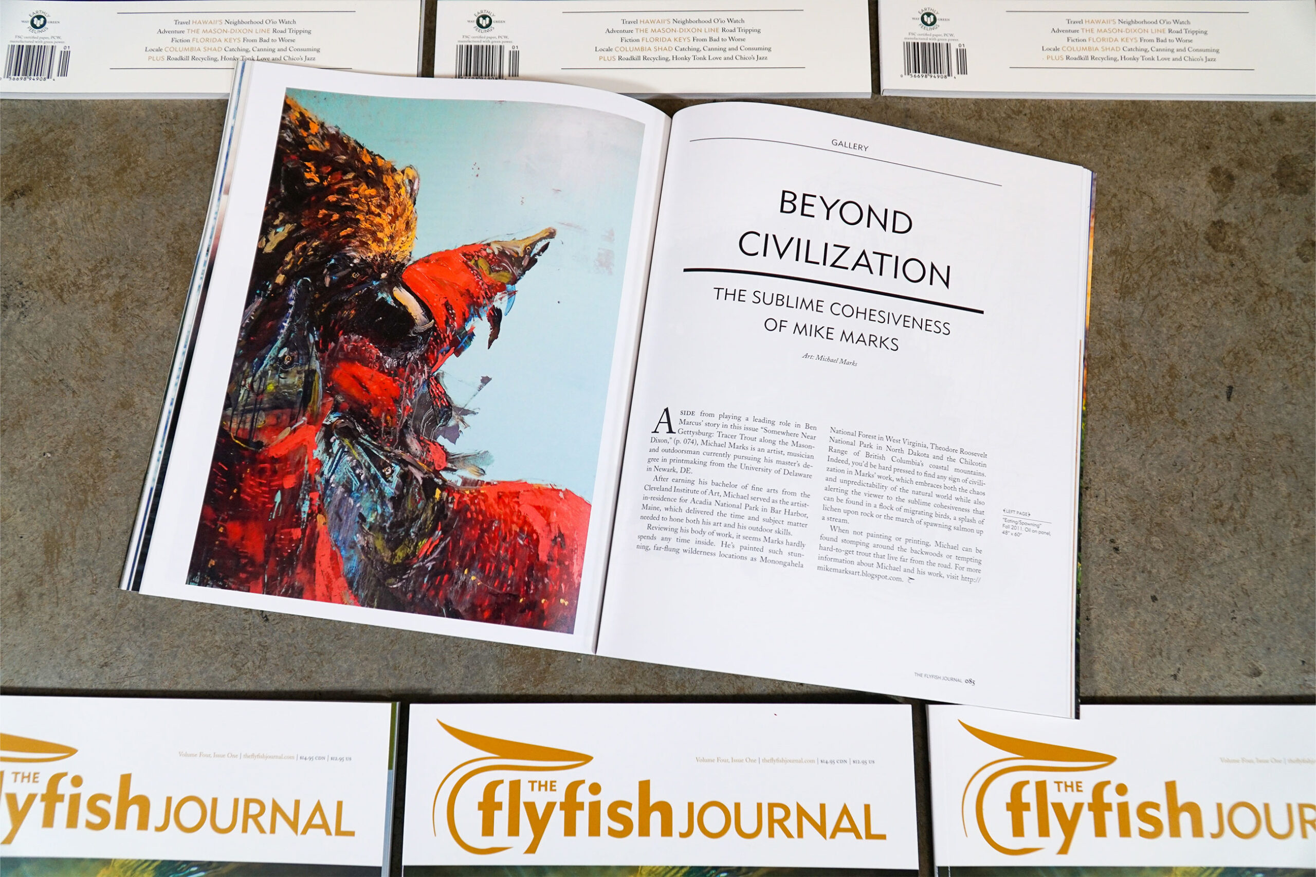 The Flyfish Journal Volume 4 Issue 1 Feature Beyond Civilization