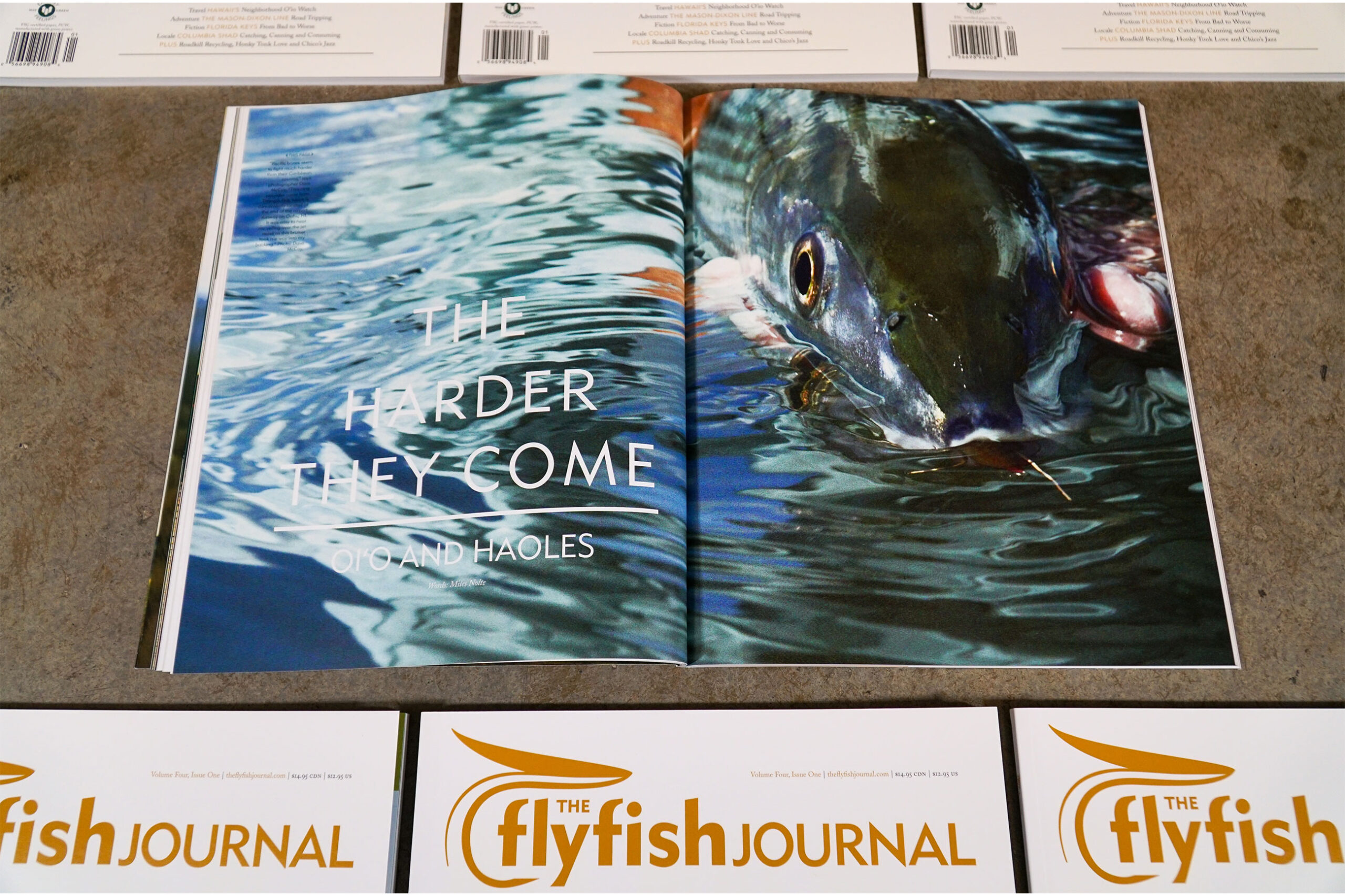 The Flyfish Journal Volume 4 Issue 1 Feature The Harder They Come