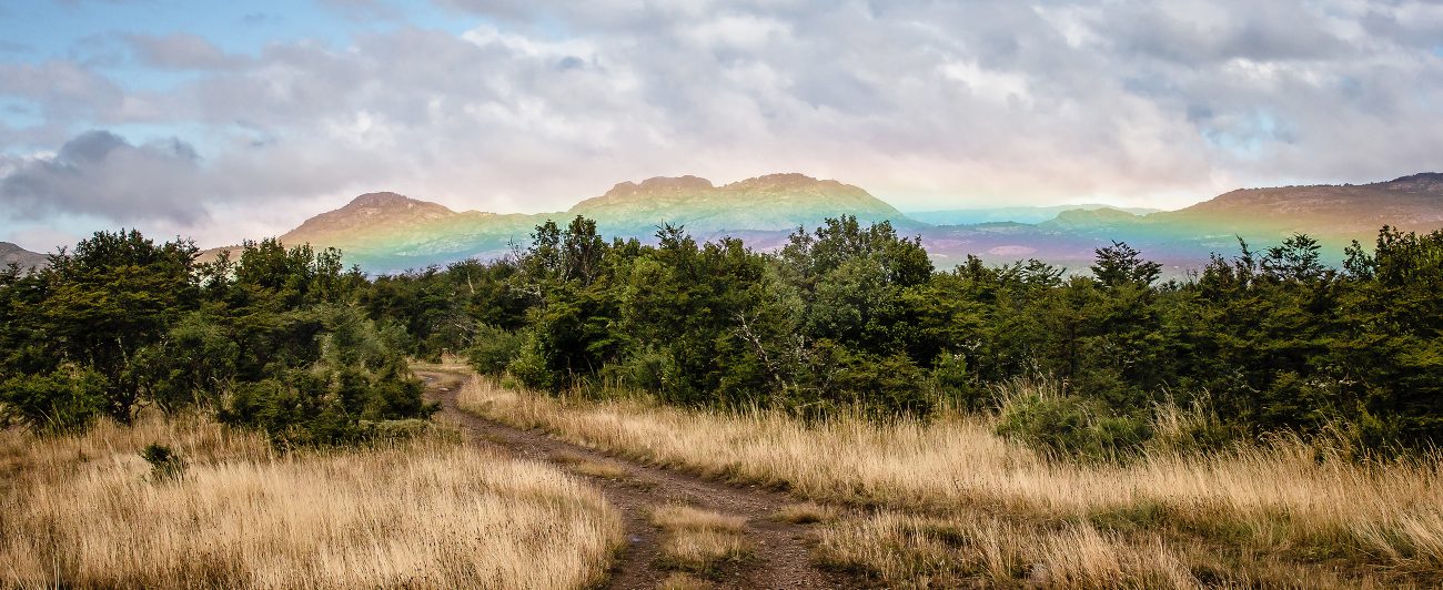 Patagonia rainbows.