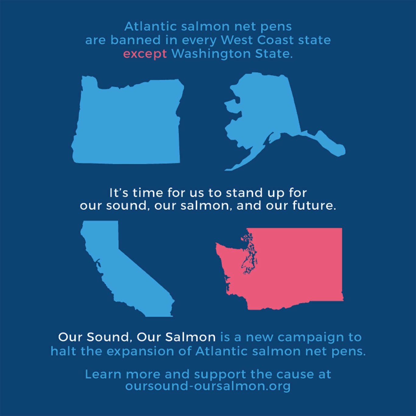 Our Sound Our Salmon