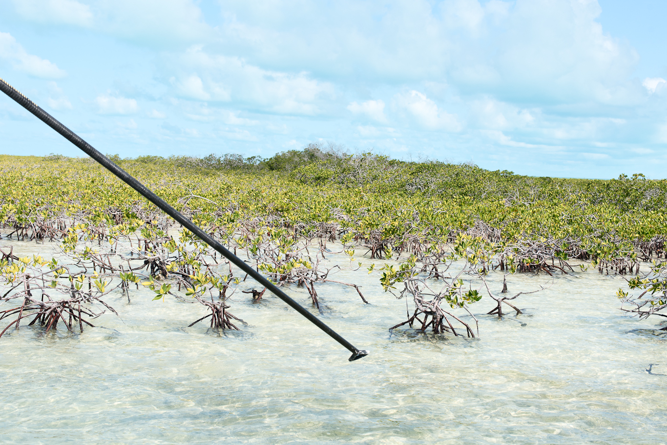 Bahamas, Flyfishing, Push Pole, South Andros,