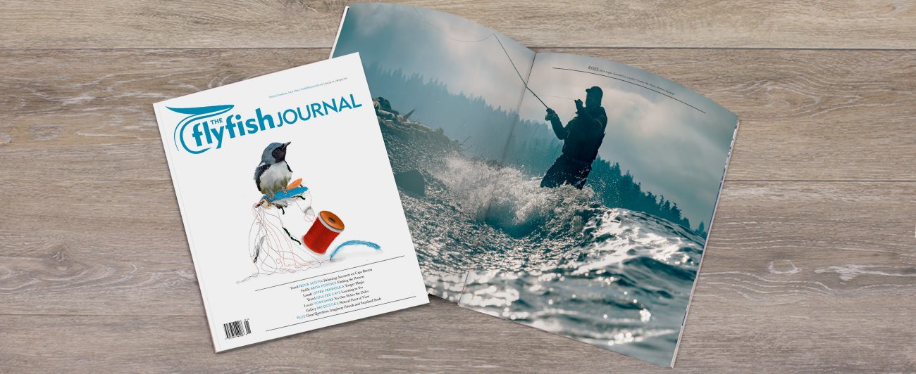 The Flyfish Journal, Volume Fourteen, Issue One