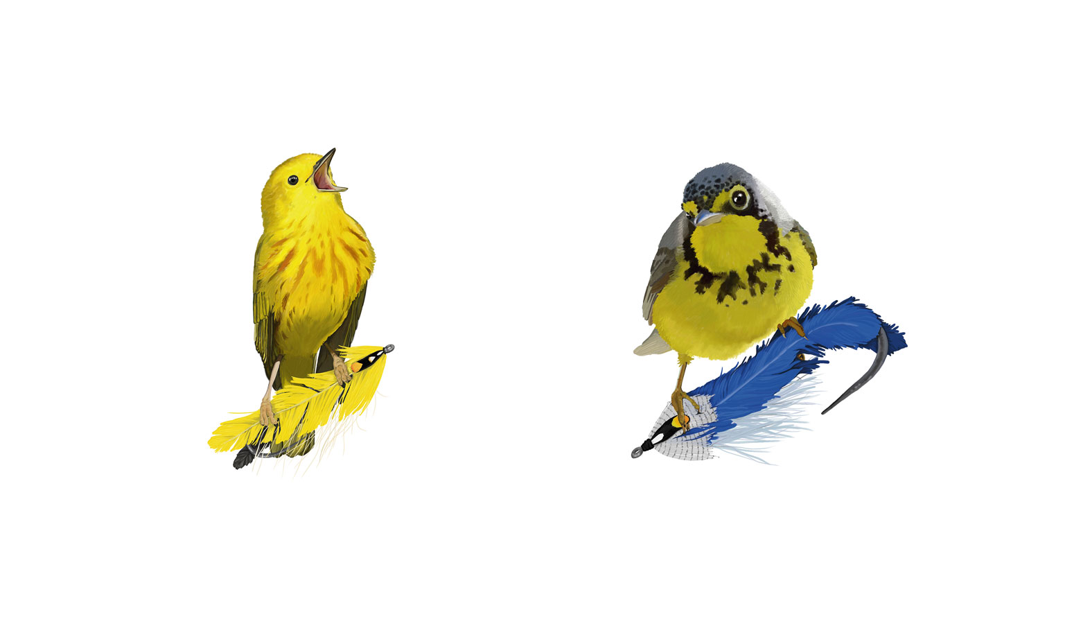 Canada Warbler and Yellow Warbler