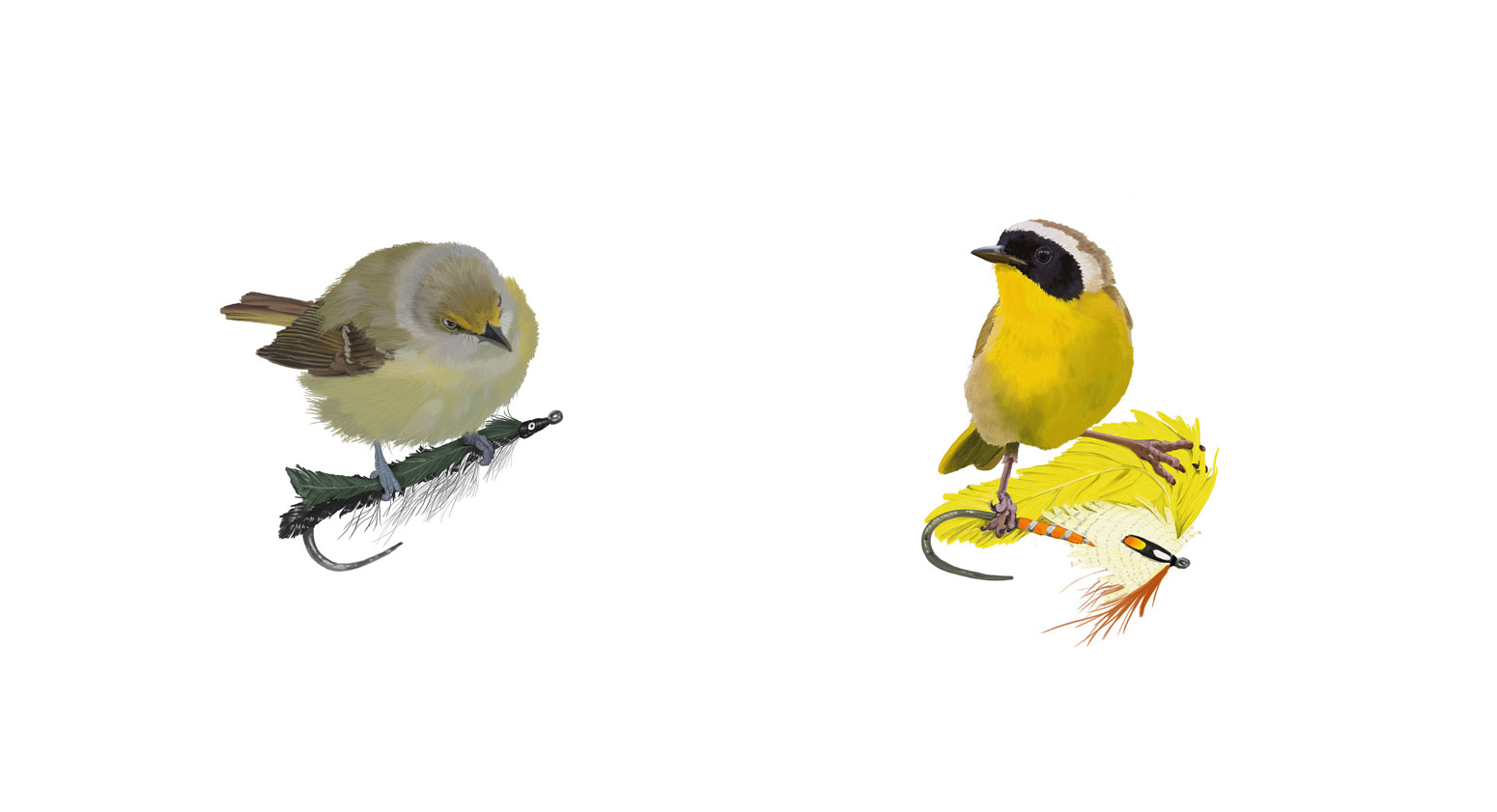 Tennessee Warbler and Common Yellowthroat Colonel