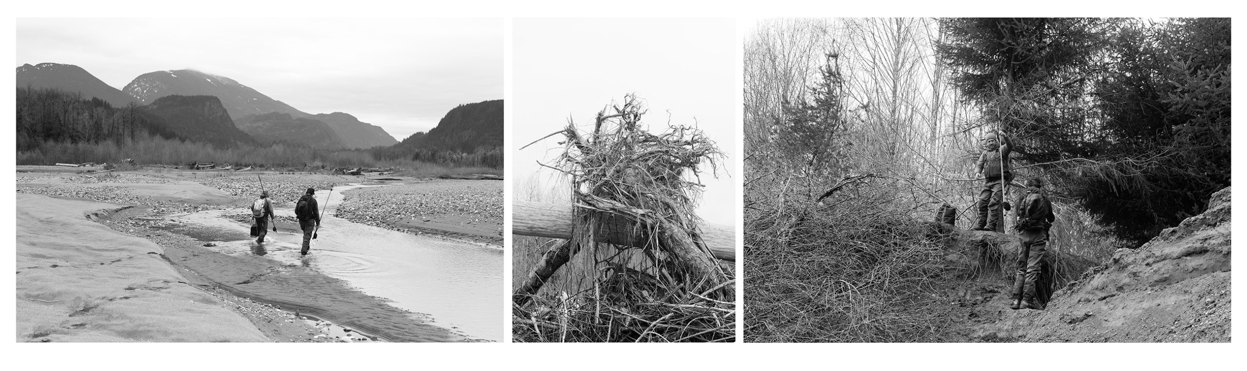 A black and white triptych of fishermen walking along the river, an old root ball and a climb up a dirt slope.