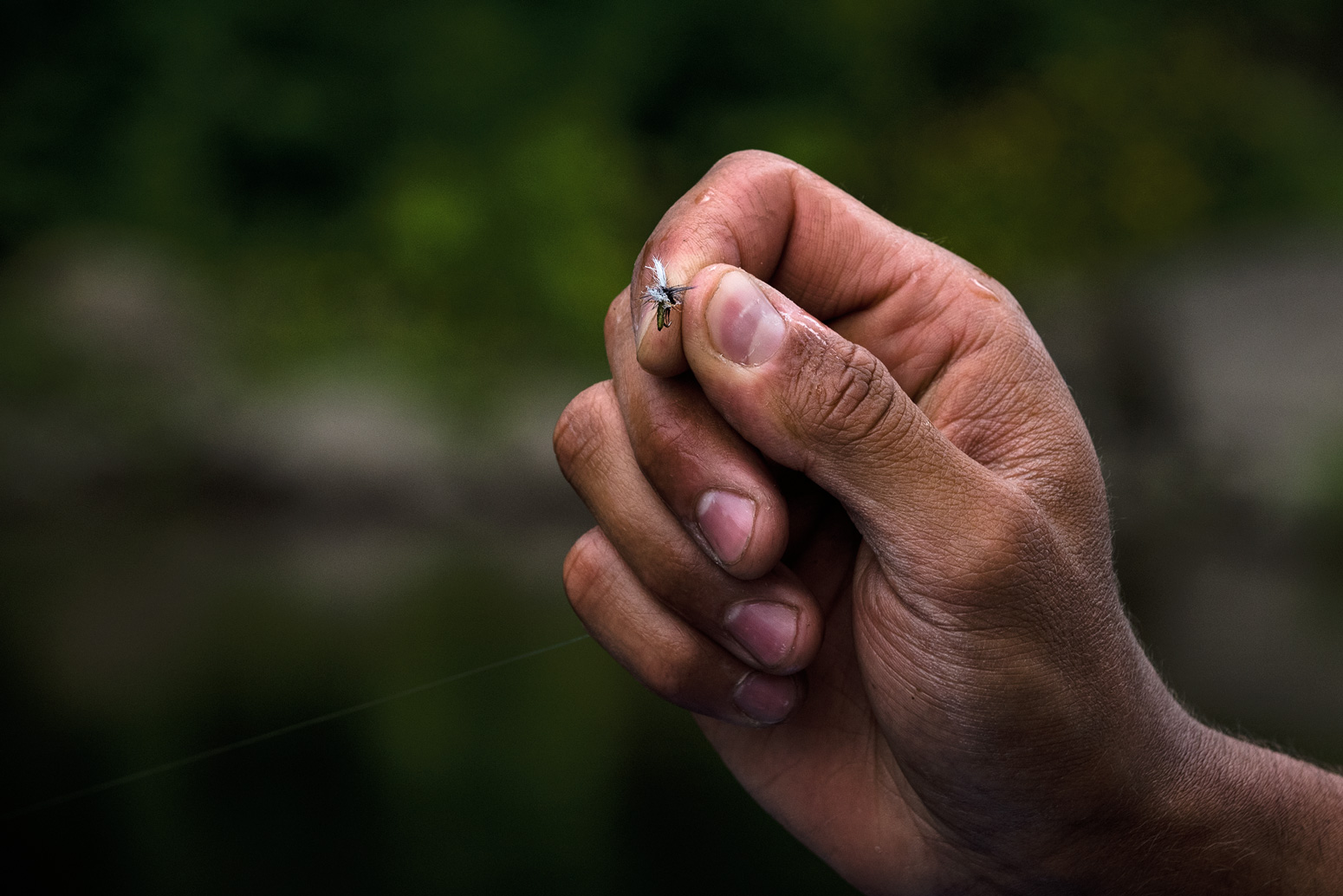 Hand of local guide, Dom Lentini, holding fly. Photo: Joe Klementovich